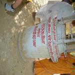 Vraj-Yatra-2014- (790)